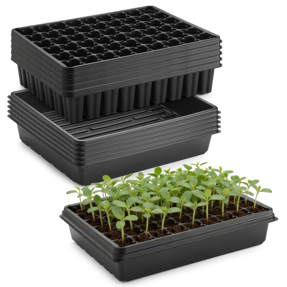 RooTrimmer five-pack seedling starter trays with no holes for flat sowing and easy cleanup.