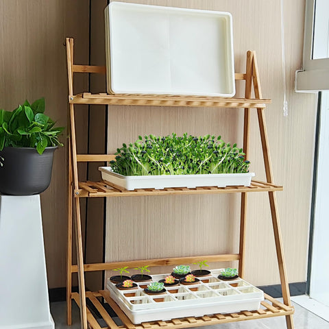 RooTrimmer five-tray bundle keeps seed pots organized as they grow