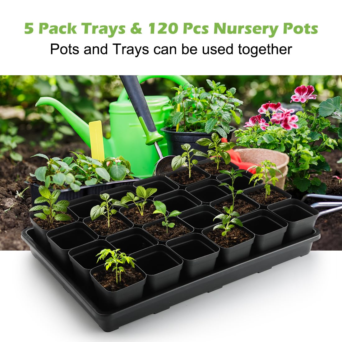 Flat RooTrimmer seedling trays measuring 17 by 12 inches for space efficiency