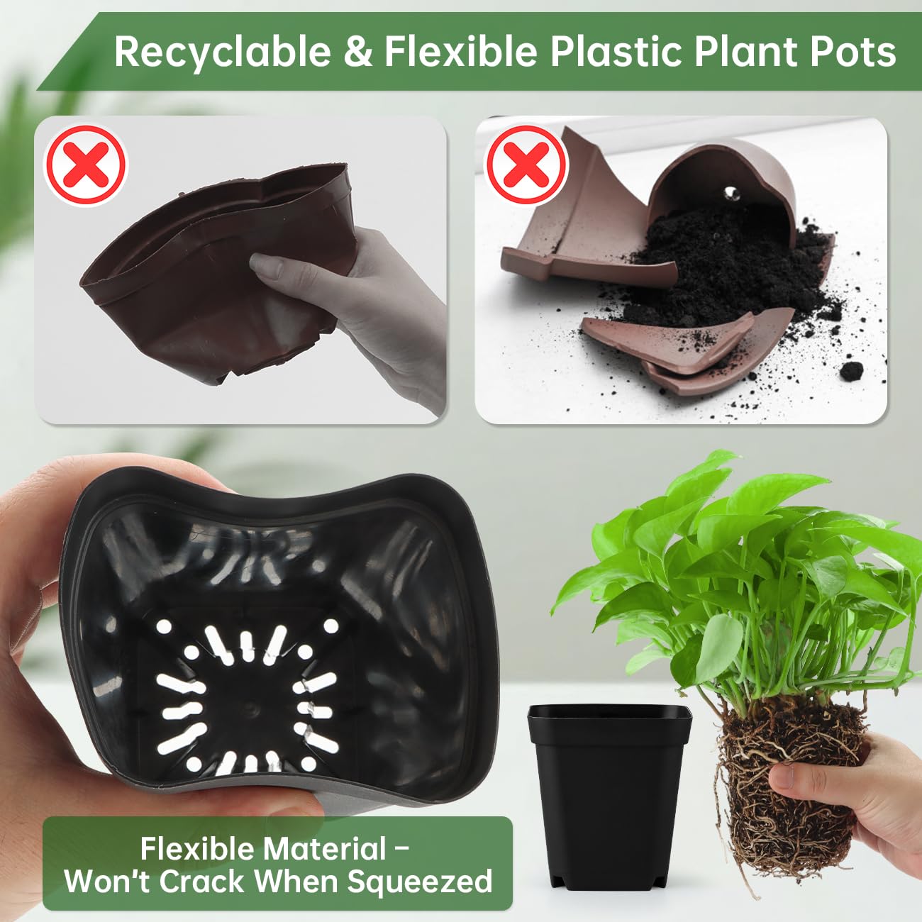 RooTrimmer flexible-walled square pot enables easy transplant of seedlings.