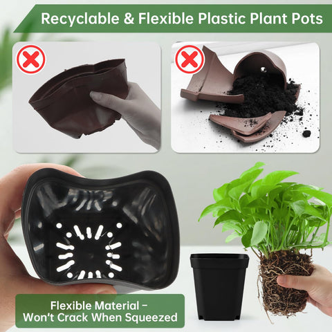 RooTrimmer flexible-walled square pot enables easy transplant of seedlings.
