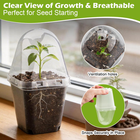 RooTrimmer propagation pot with frosted walls to monitor roots and moisture