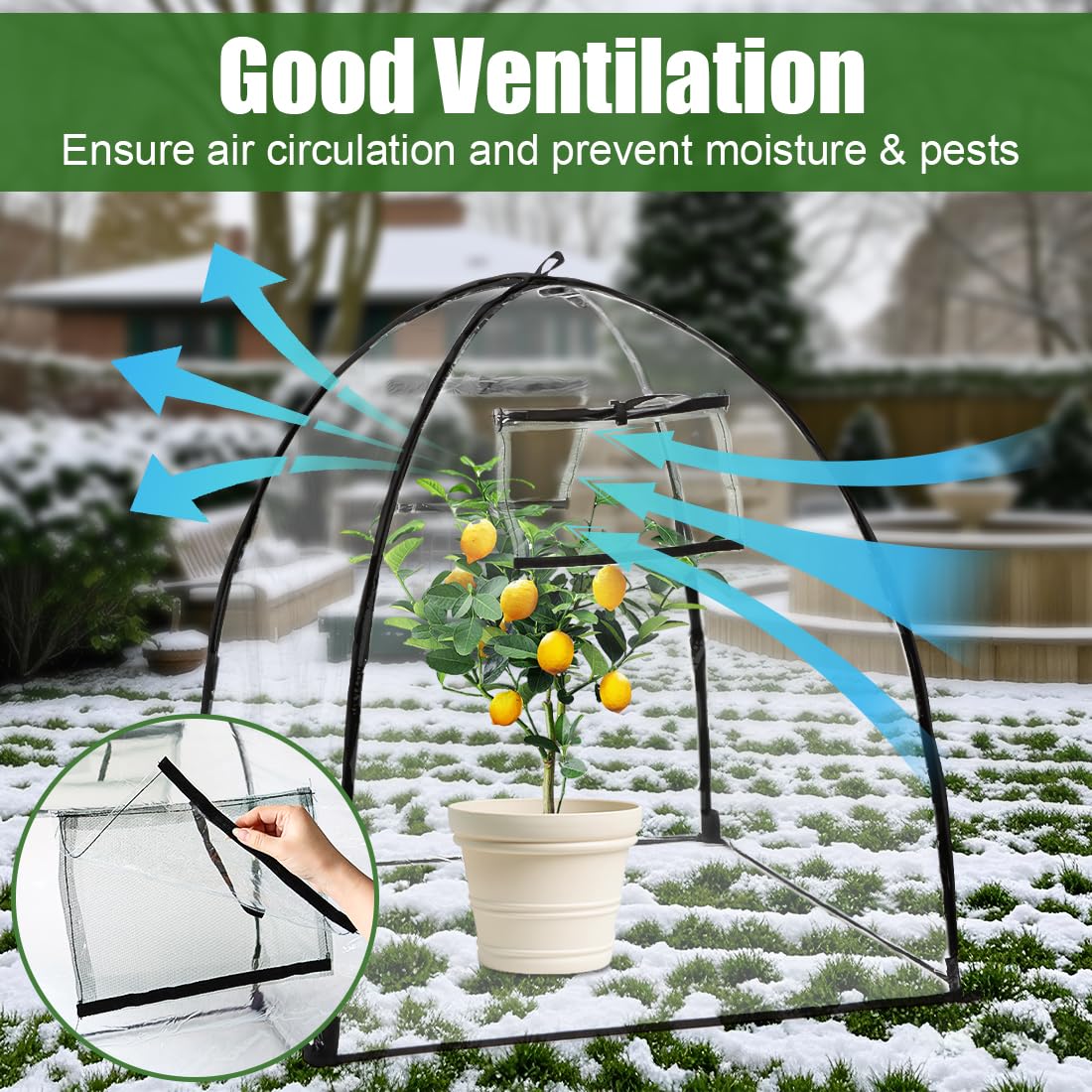 RooTrimmer garden cloche keeps delicate plants safe indoors or outdoors.