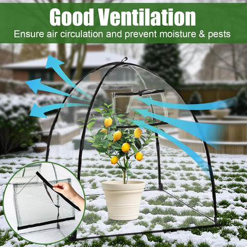 RooTrimmer garden cloche keeps delicate plants safe indoors or outdoors.