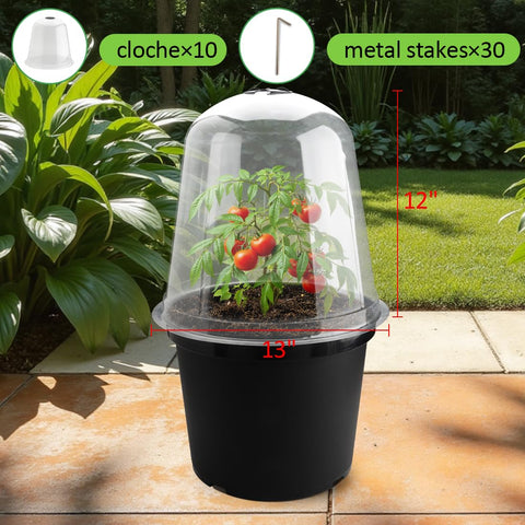 RooTrimmer transparent garden cloche provides clear view of plants