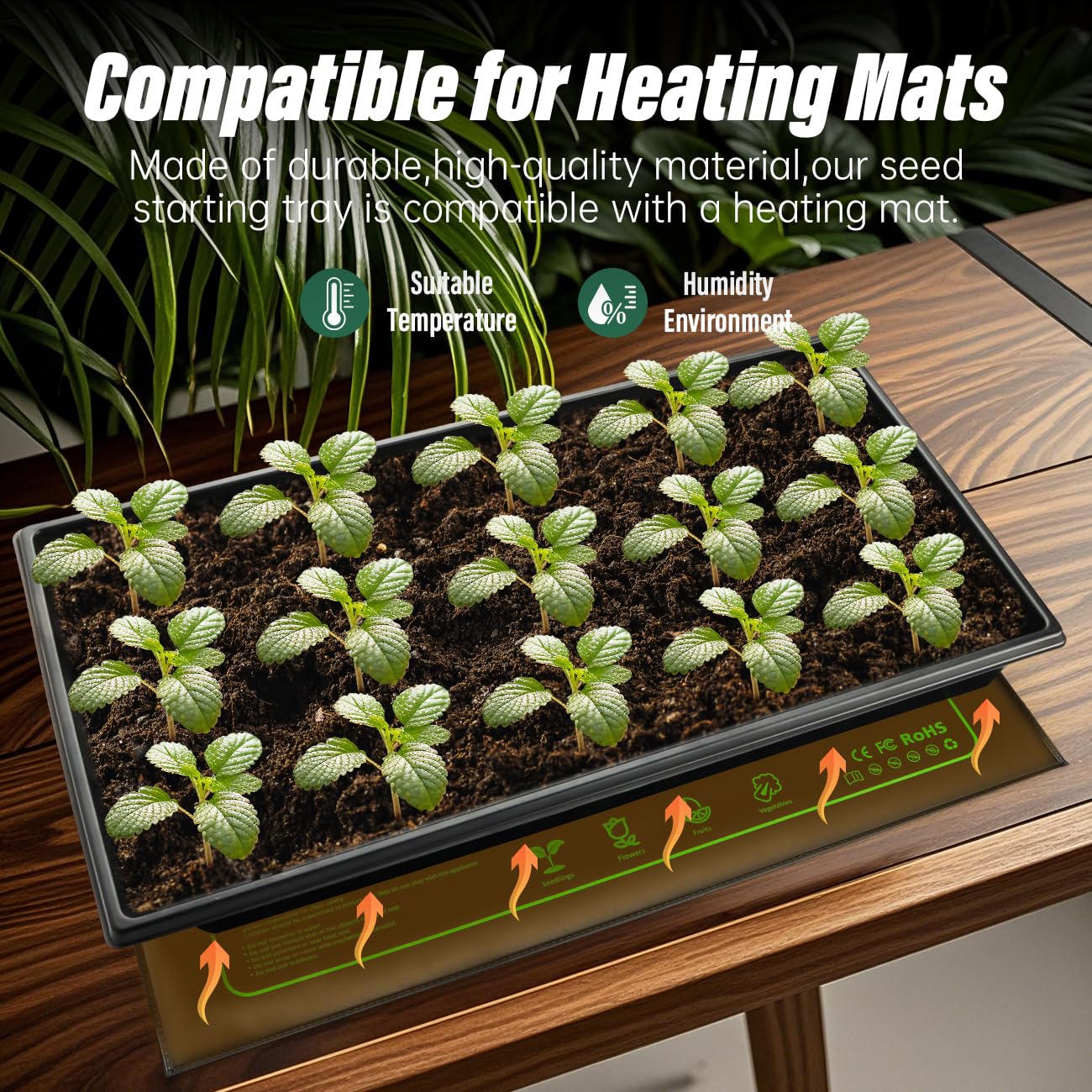 RooTrimmer germination in progress with young seedlings ready for transplant.