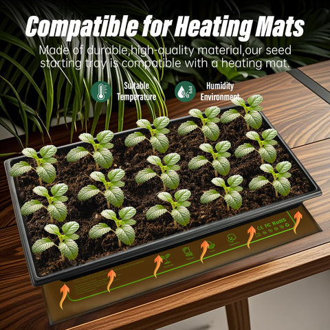 RooTrimmer germination in progress with young seedlings ready for transplant.
