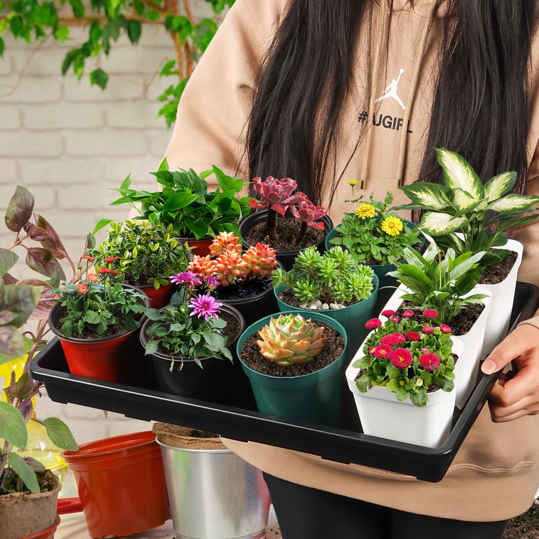 RooTrimmer greenhouse seed-starting trays designed for easy setup.