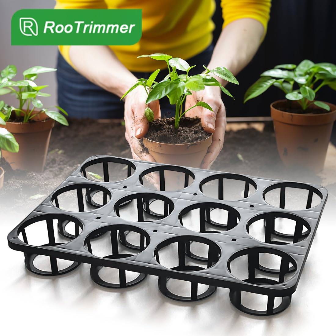 RooTrimmer greenhouse use tray saving time in busy nurseries