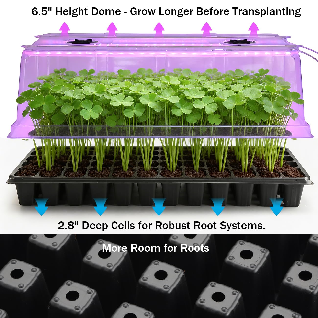 RooTrimmer heavy-duty 1020 trays resist warping and are reusable