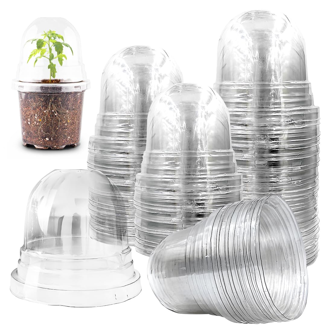 RooTrimmer humidity dome for 4-inch pots provides consistent seed starting humidity.