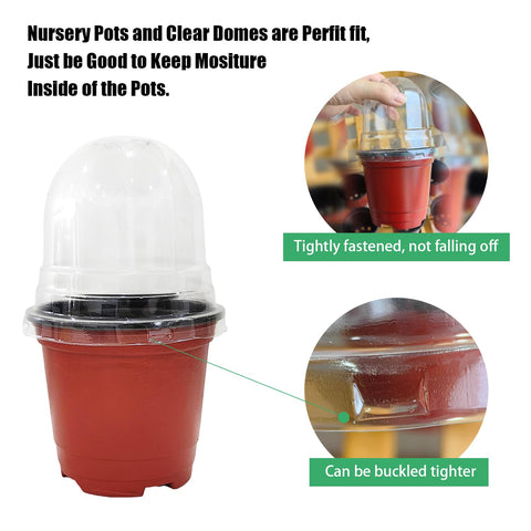 RooTrimmer humidity-dome lid provides monitored moisture for seedlings.