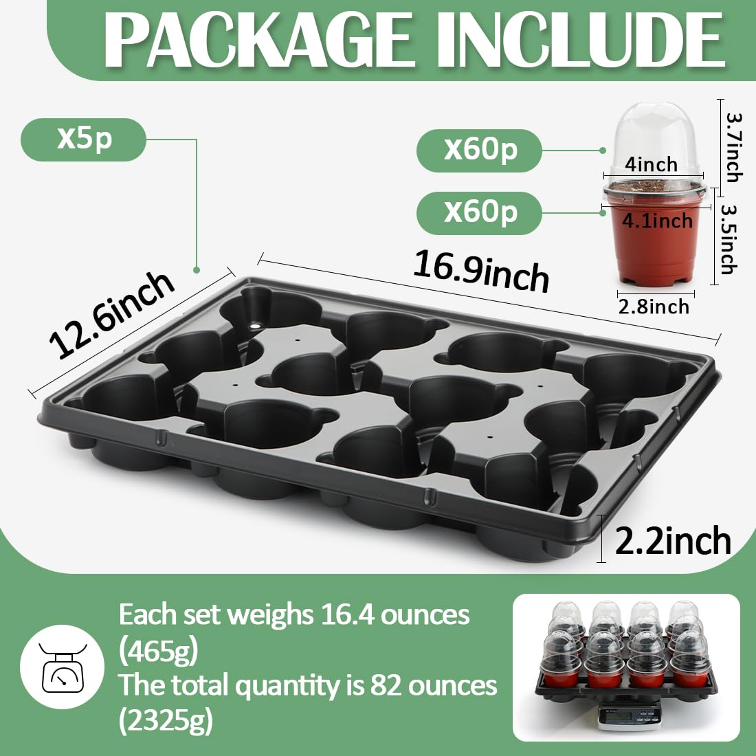 RooTrimmer humidity dome cover visible on pots supports moisture retention for seedlings