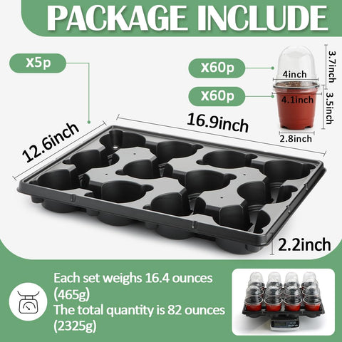 RooTrimmer humidity dome cover visible on pots supports moisture retention for seedlings