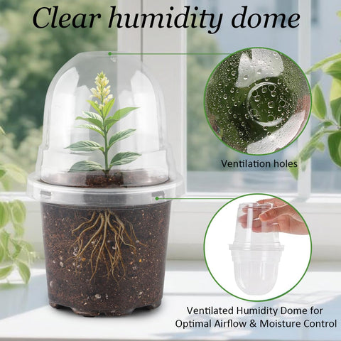 RooTrimmer humidity dome covers the pot to stabilize moisture during germination.