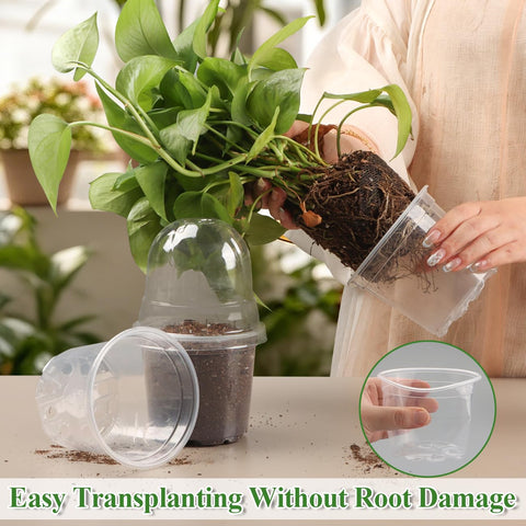 RooTrimmer humidity dome with vents creates a controlled microclimate for germination and cuttings.
