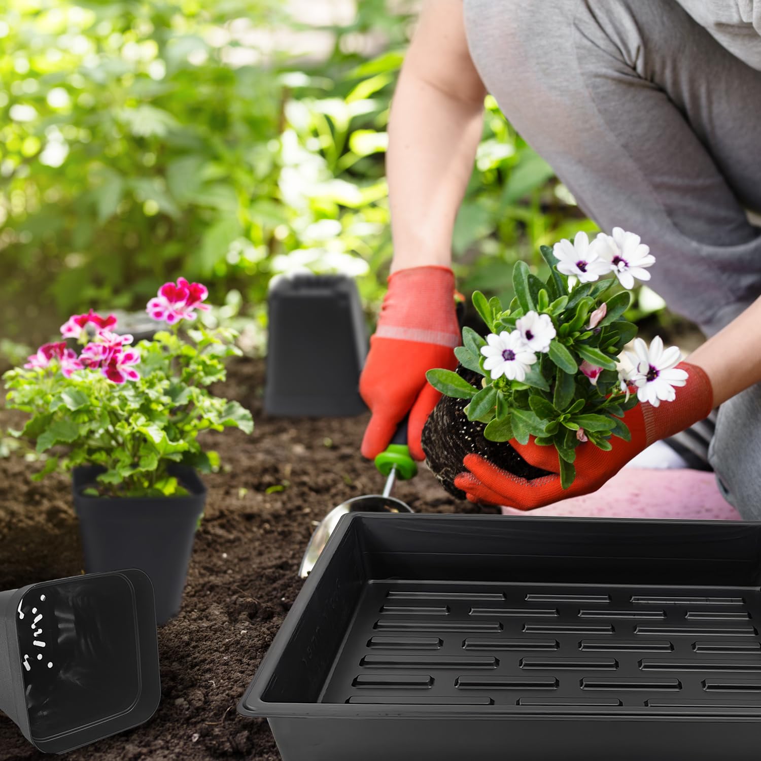 RooTrimmer hydroponic-ready seedling tray supports compact hydroponic setups.