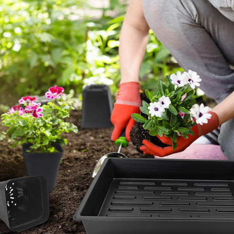 RooTrimmer hydroponic-ready seedling tray supports compact hydroponic setups.