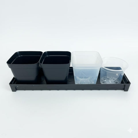 RooTrimmer indoor garden compact tray suits microgreens and small plants.