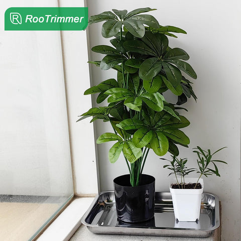 RooTrimmer versatile tray for indoor gardens, hydroponics, and wheatgrass culture