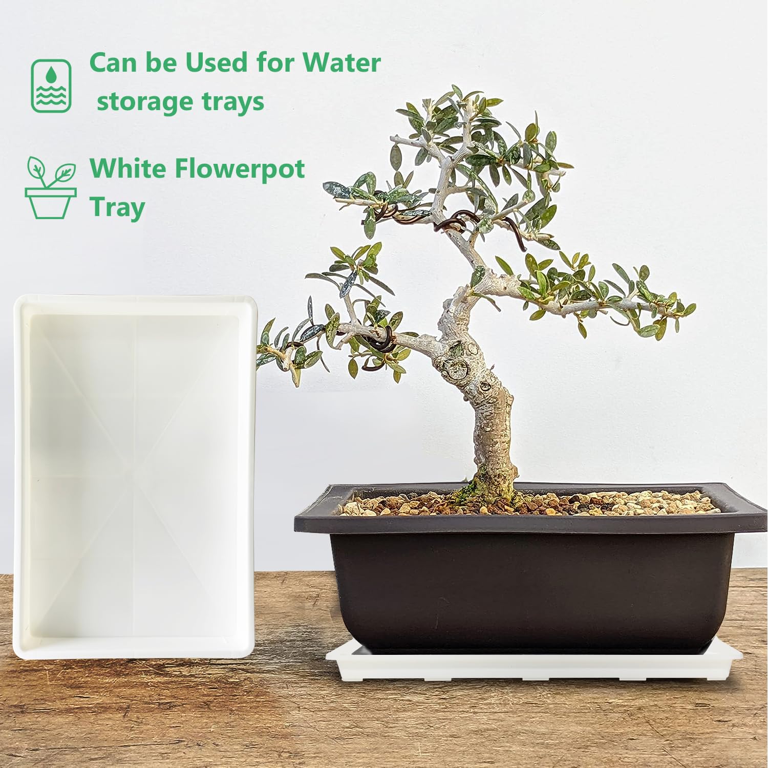 RooTrimmer indoor garden tray ideal for greenhouse and indoor setups