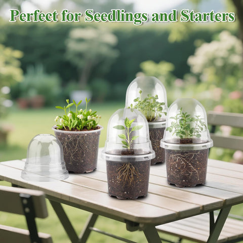RooTrimmer ideal for vegetables, herbs, flowers, and indoor propagation in small spaces.