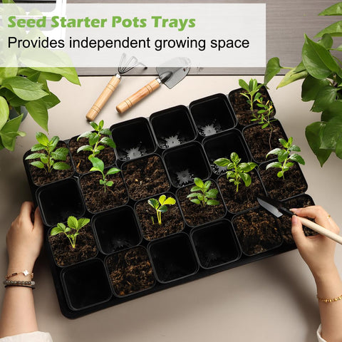 Indoor gardening setup using RooTrimmer pots for microgreens and herbs