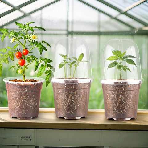 RooTrimmer 15-pack for versatile indoor gardening and propagation setups.