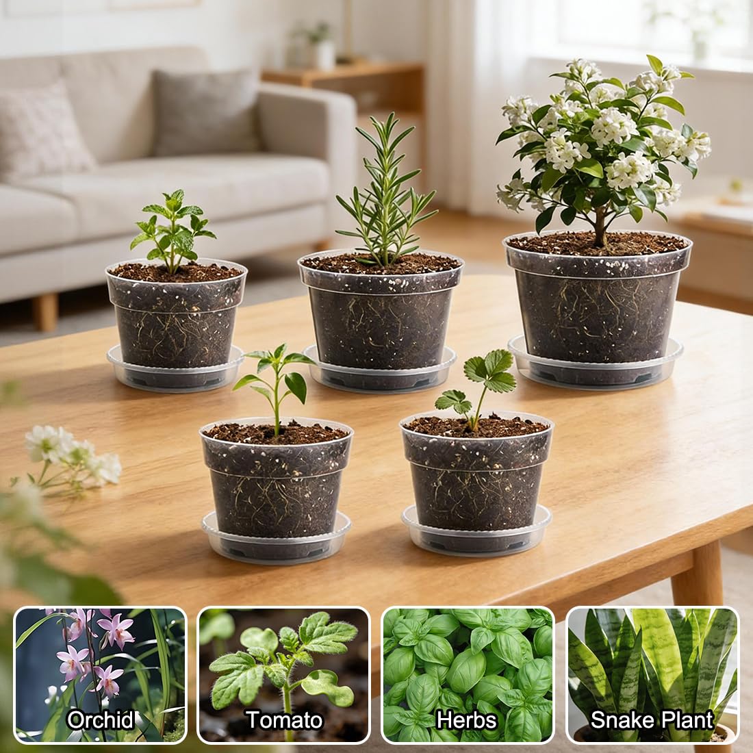 RooTrimmer indoor-outdoor pots suit herbs, flowers, and more