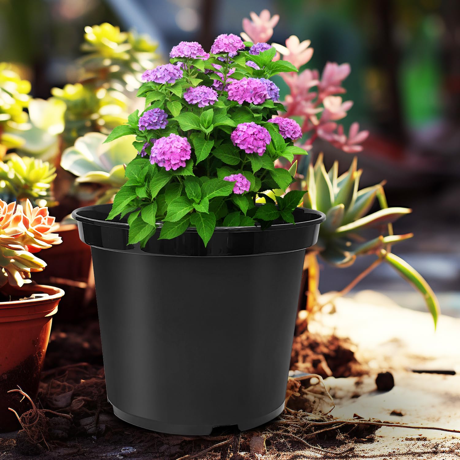RooTrimmer indoor-outdoor plant pots pack for multiple projects and gifts.