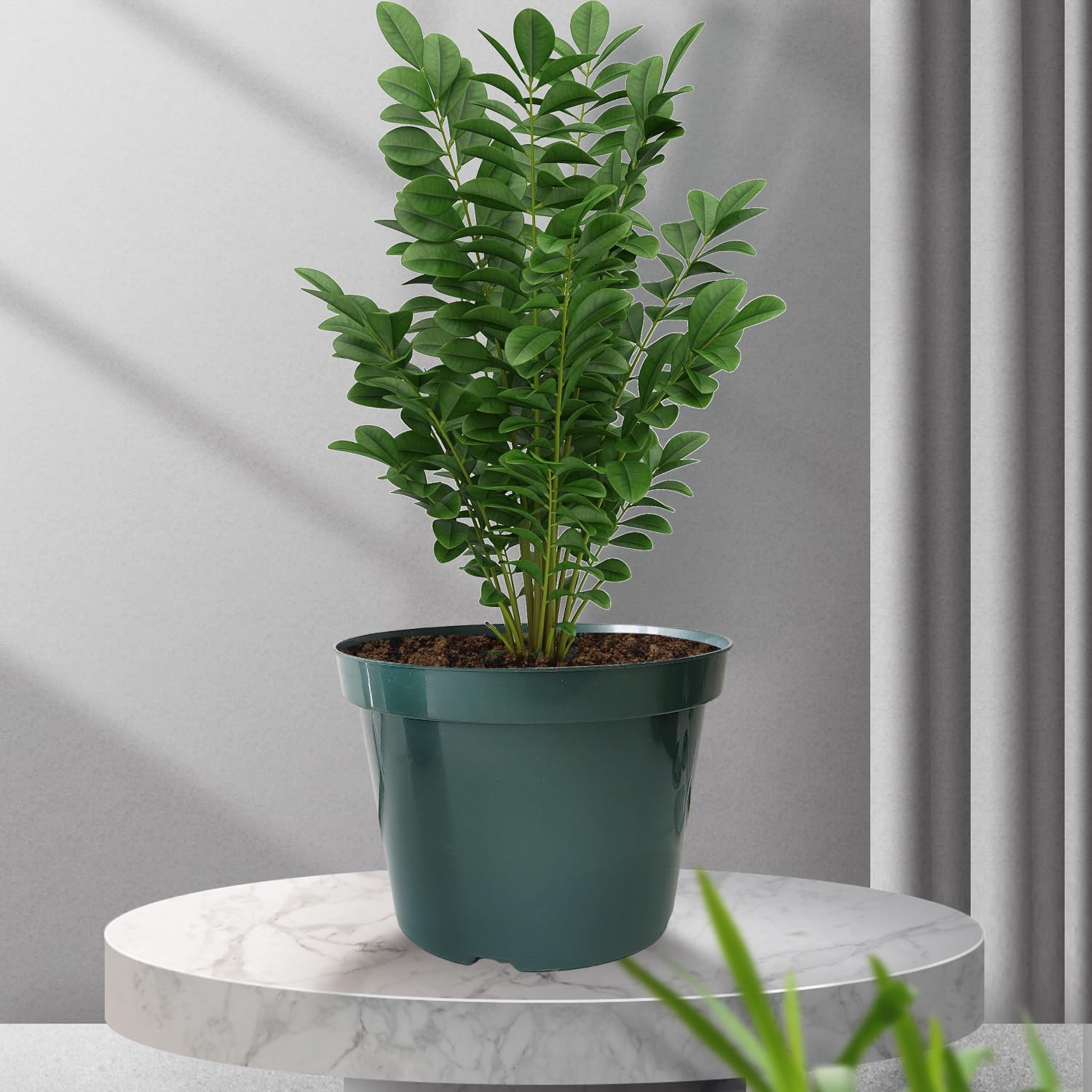 RooTrimmer durable green pot suitable for herbs, daisies, and small orchids.
