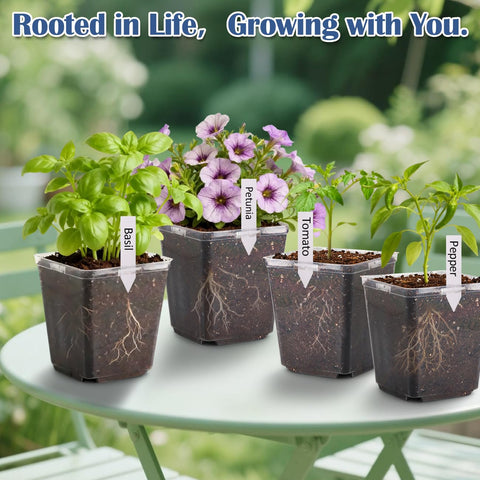 RooTrimmer complete kit for indoor or outdoor seed starting and transplanting.