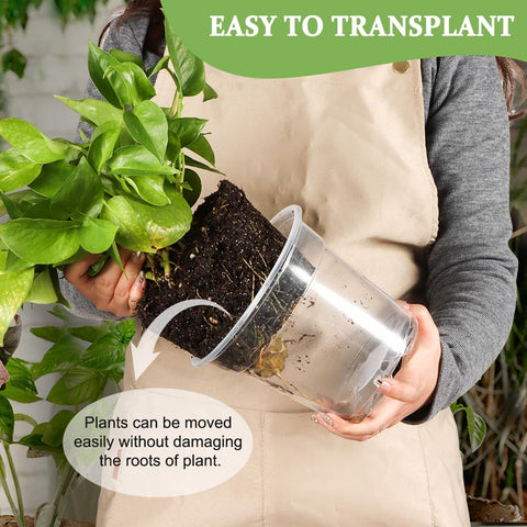 RooTrimmer pots suitable for indoor and outdoor use.