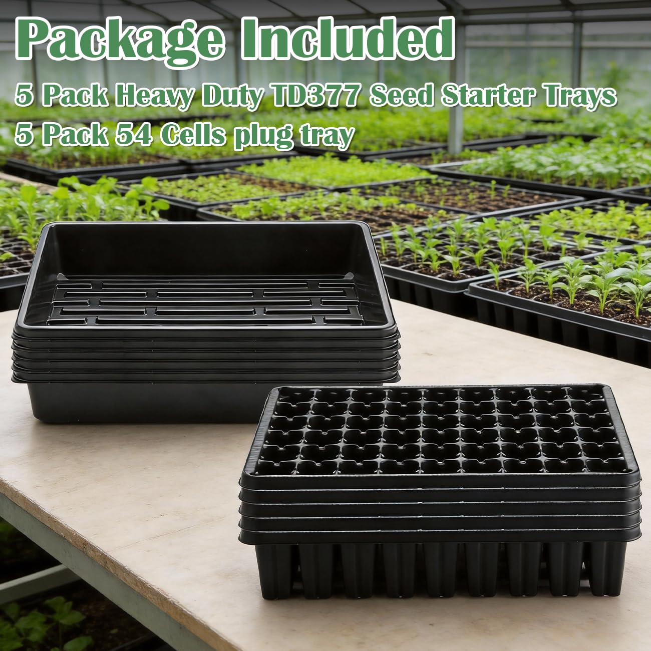 RooTrimmer indoor-to-outdoor seedling setup keeps seedlings organized during transfer.