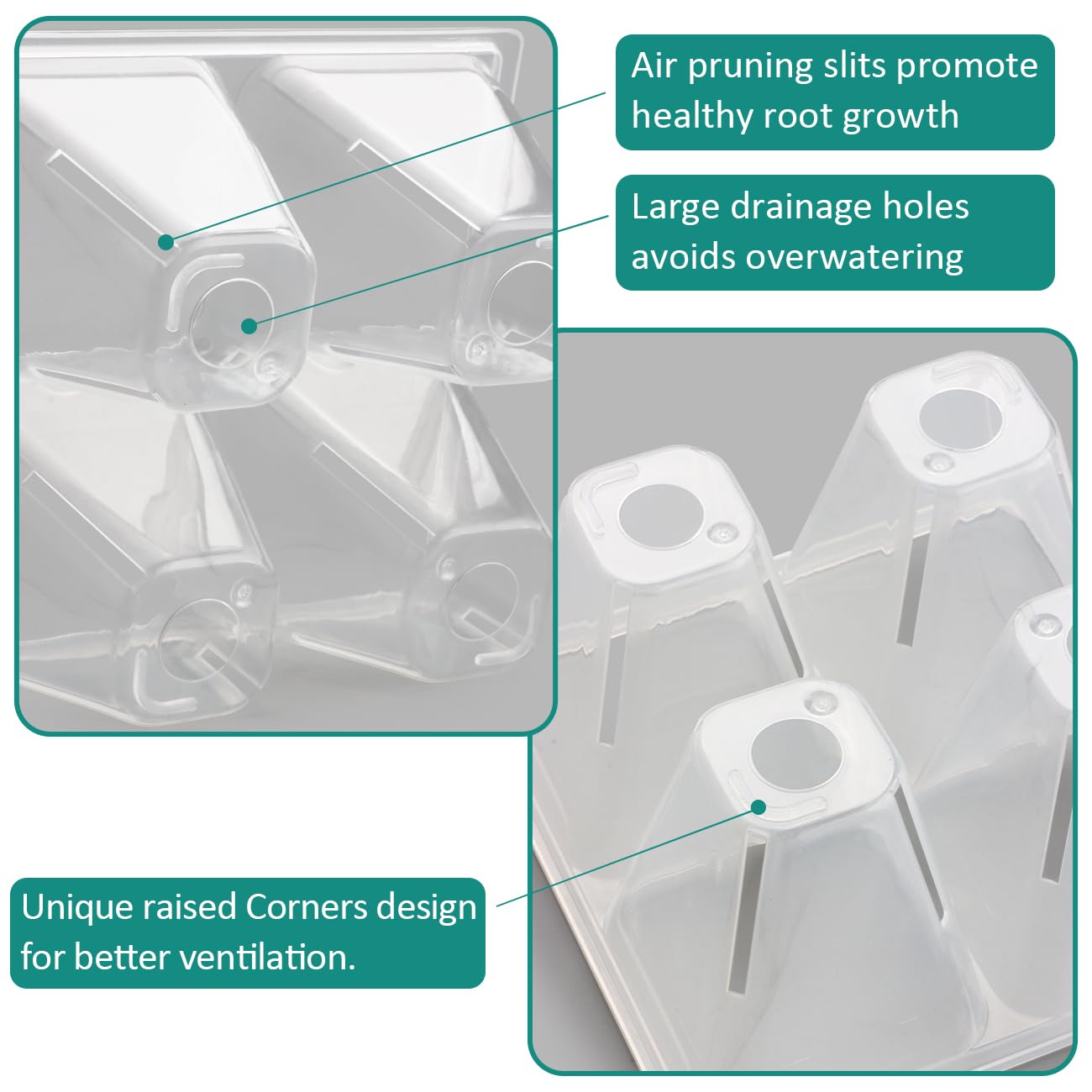 RooTrimmer tray has large drainage holes for controlled moisture and healthier seedlings.
