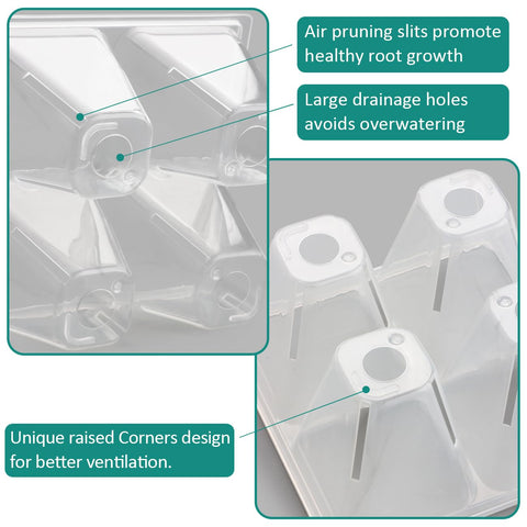 RooTrimmer tray with large drainage holes prevents overwatering.