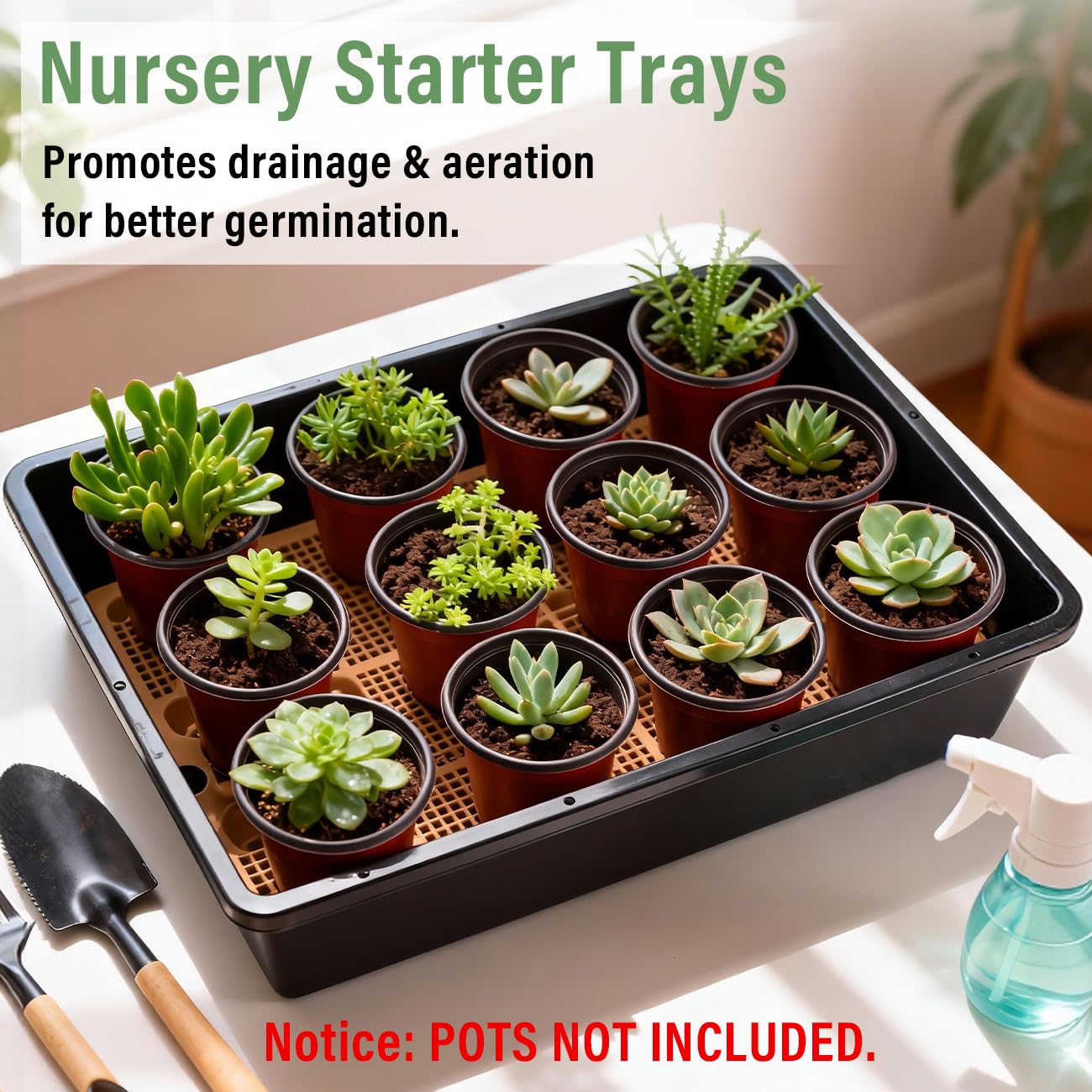 Large propagation kit suitable for seeds, microgreens, and cuttings