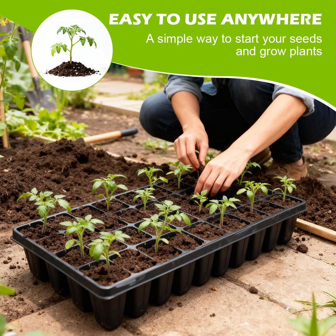 RooTrimmer large soil volume supports longer germination periods