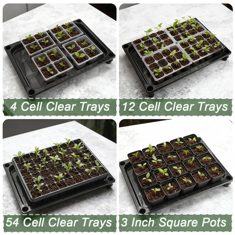 RooTrimmer LED grow light with 24-hour timer illuminates seedlings.