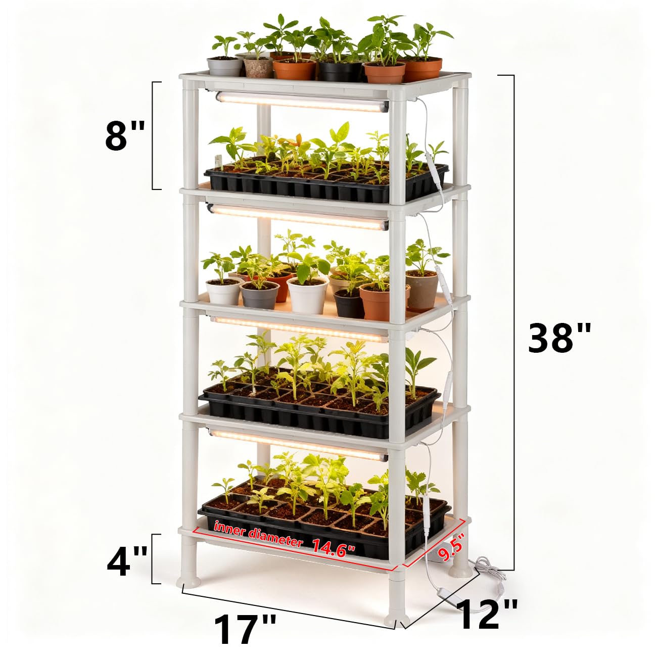 RooTrimmer LED grow light with auto-timer illuminates seedlings for steady growth