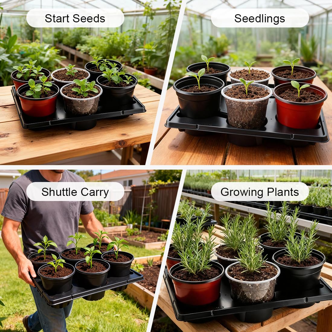 RooTrimmer lightweight portable tray for moving pots around