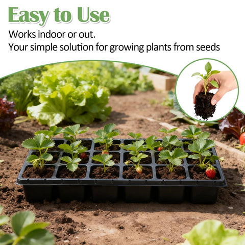 RooTrimmer promotes longer root development with bigger cells.