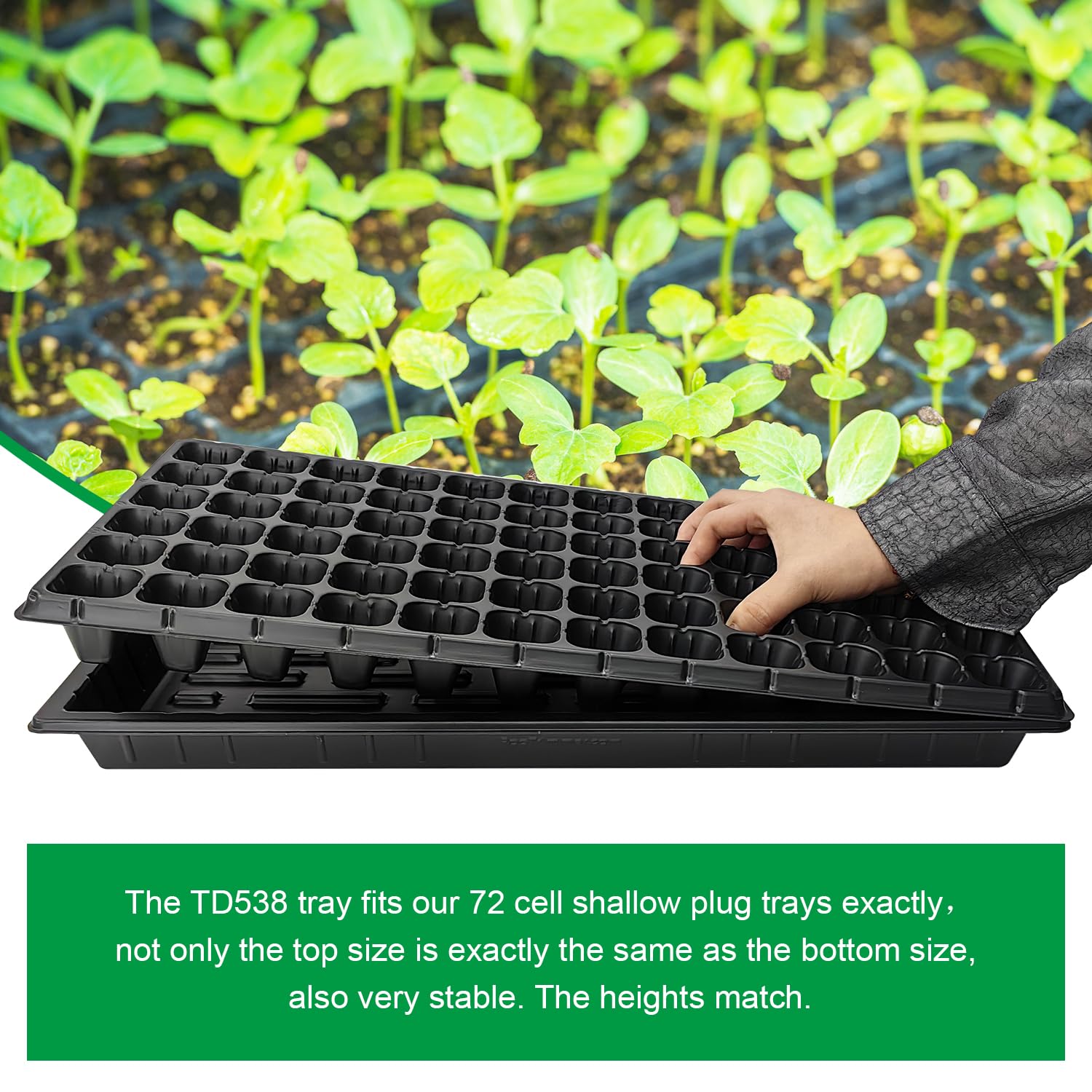 RooTrimmer microgreen tray in use showcases efficient space and workflow