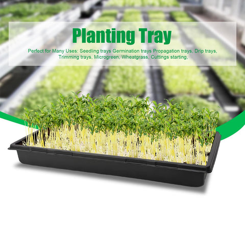 RooTrimmer microgreens growing tray ideal for greenhouse use and soil management.