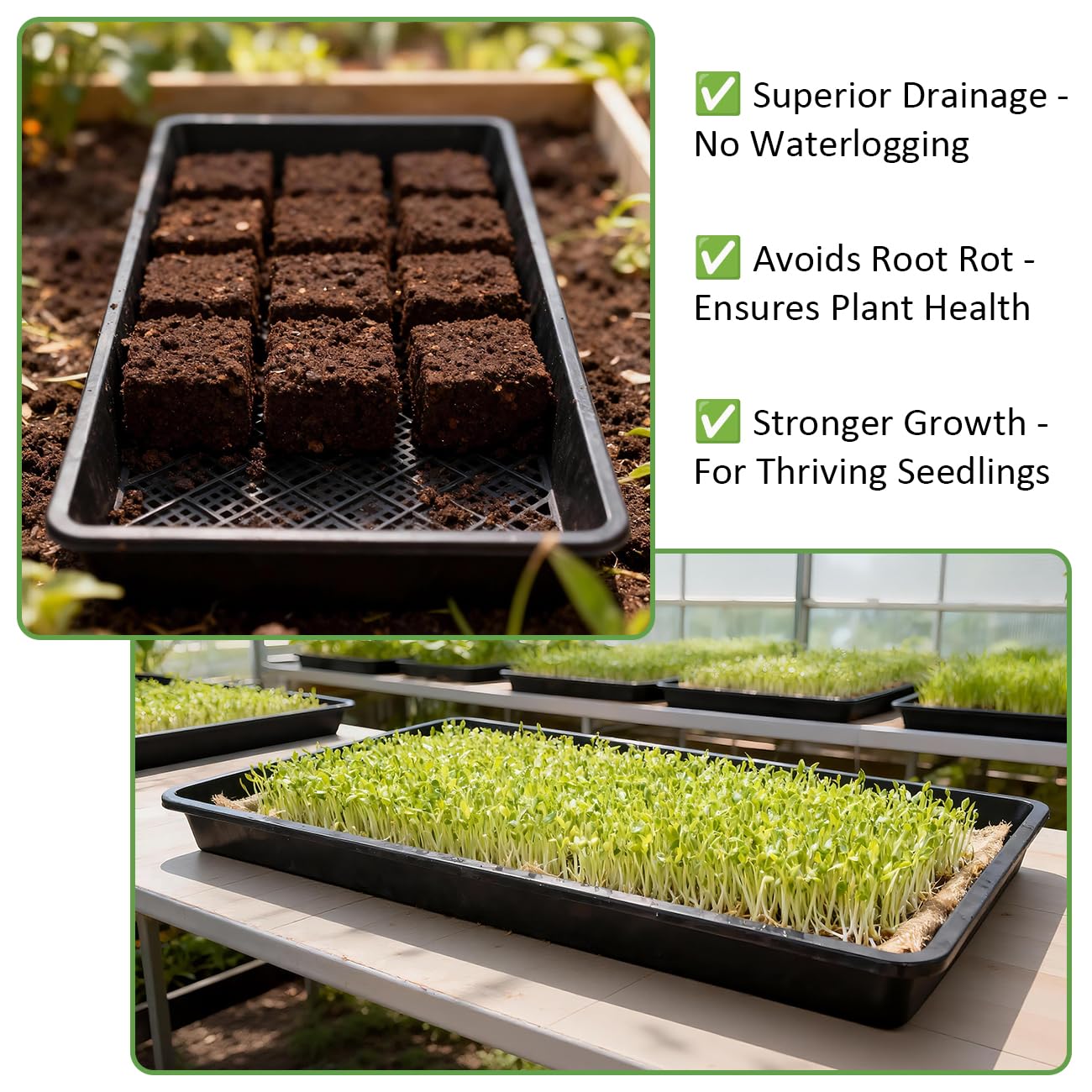 RooTrimmer tray handles microgreens and wheatgrass with ease.