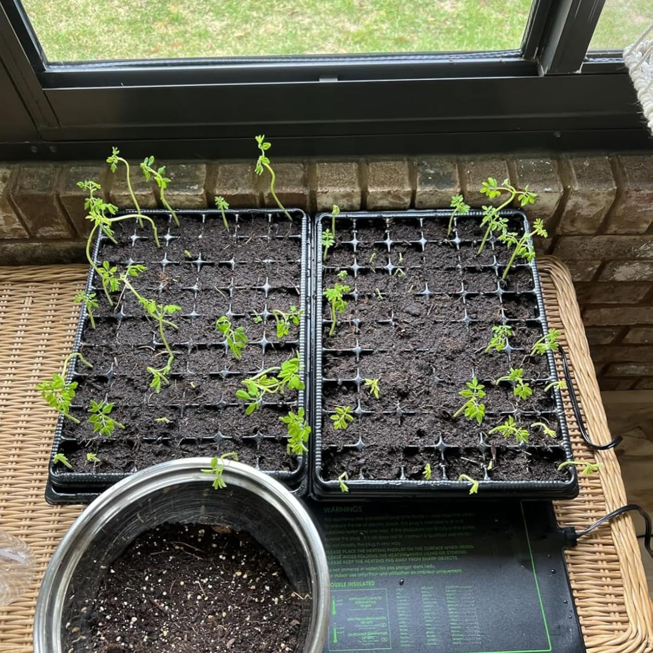 RooTrimmer mini greenhouse kit simplifies reliable seed propagation.