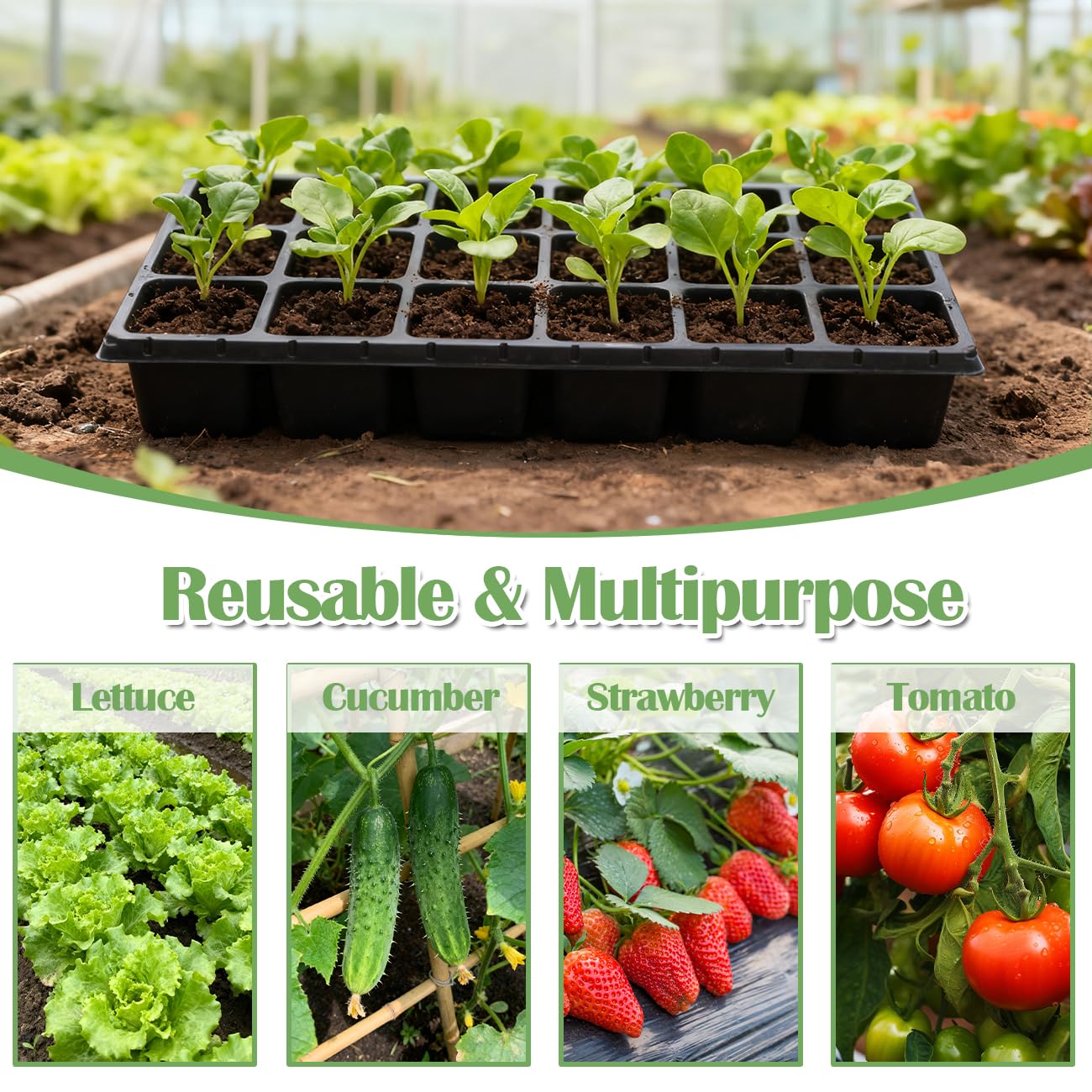 RooTrimmer versatile setup for seed starting and microgreens