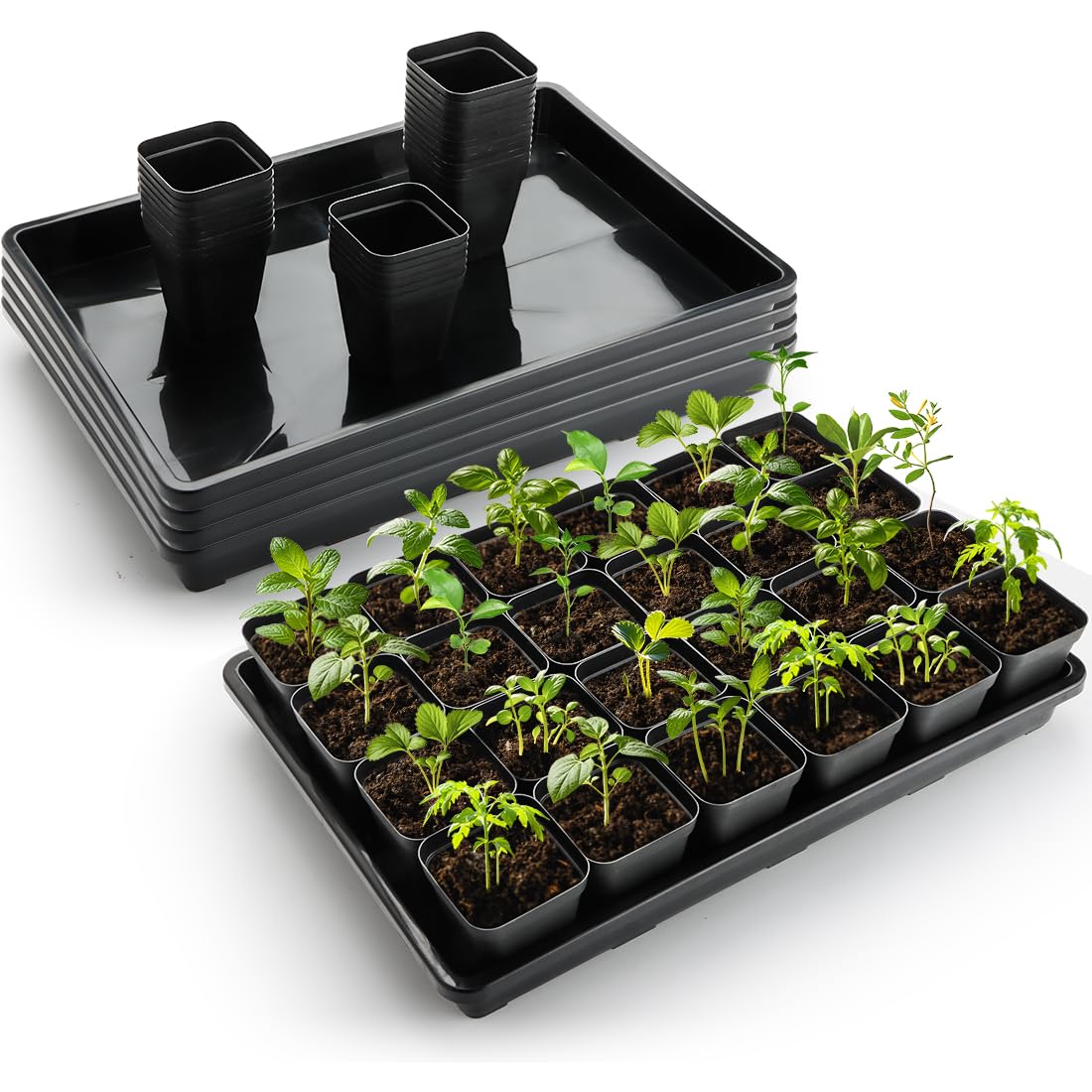 Versatile RooTrimmer use as bonsai, wheatgrass, or cat grass starter trays