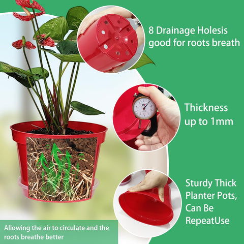 RooTrimmer 8-inch pots offer sturdy indoor decoration and long-term use