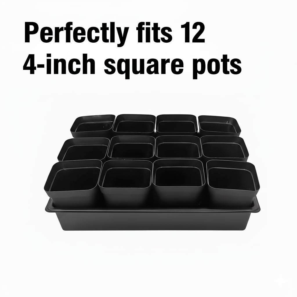 RooTrimmer deeper trays secure soil and water, reducing spills during transport.
